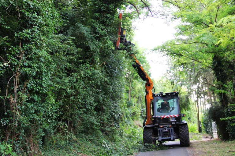 Taille en rideau normandie