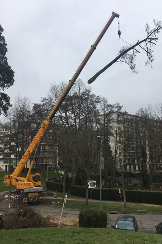 Abattage mécanisé grue normandie