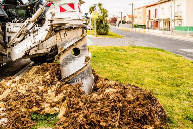 Carottage souche d'arbre | France, Normandie, Calvados